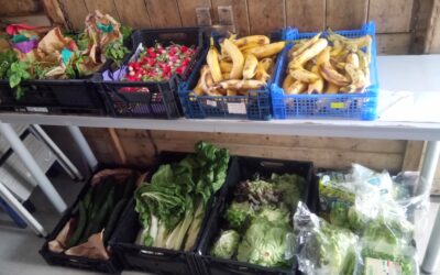 Le gaspillage alimentaire, quelques chiffres