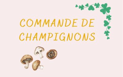 Commande de champignons ultra locaux !