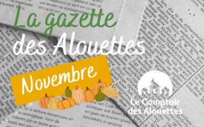 Gazette de novembre